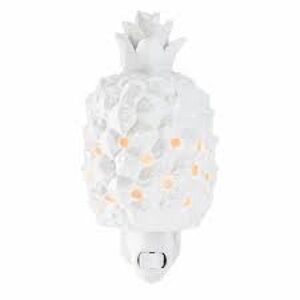 🩵🆕🩵Southern Hospitality Mini Scentsy Warmer